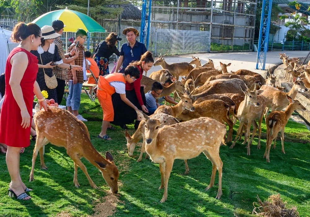 My Quynh Safari, located in Long An, is the first semi-wild safari zoo in the Mekong Delta region